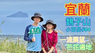 2024/11 小百岳84-相見恨晚的鵲子山