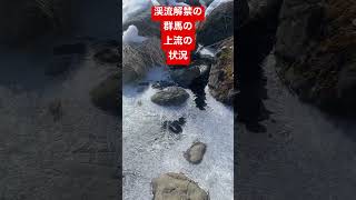 渓流解禁群馬の上流の状況⚡️#渓流解禁2023#群馬渓流#shorts