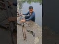 🐟 Fish inside the bamboo trap