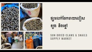 Buy Cheap, Delicious Sun-dried Clams! ផ្សារលក់ចែកចាយលៀស ខ្យង និងខ្ចៅ