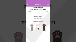 고양이 러버들도 은근 모르는 고양이 특징