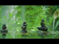 relaxing music for sleep │ bamboo fountain healing background music bgm