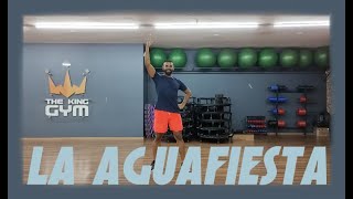 La Aguafiesta (Water Party)- Zumba | Vallenato; Techno | Zumba® ZIN Vol. 48 | Choreo | Bend Training