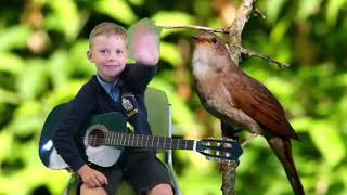 Anchorsholme Academy: Music Extravaganza - Guitar: Theo - Little Bird