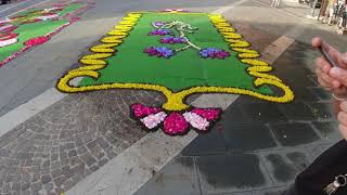 INFIORATA DI CARIFE 2021