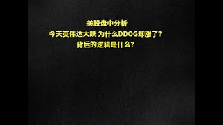 美股盘中分析今天英伟达大跌 为什么DDOG却涨了？背后的逻辑是什么？