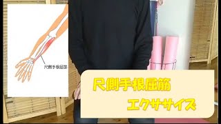 【尺側手根屈筋】のエクササイズ