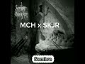 mch ft skjr _sombre_