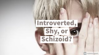 Introverted, Shy, or Schizoid?
