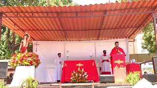 São Sebastião  - Padroeiro da Cidade e da Arquidiocese do Rio de Janeiro (20/01/2021)