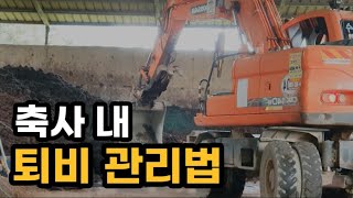 축사 내 퇴비 관리는 어떻게 할까?! / 트랙터가 아닌 포크레인으로 하는 이유