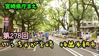 宮崎県庁前楠並木通り「いっちゃが宮崎・楠並木朝市」を歩く。