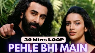 PEHLE BHI MAIN ANIMAL | LOOP SONG | Ranbir Kapoor Tripti Dimri |Sandeep V |Vishal Mishra | Love Song