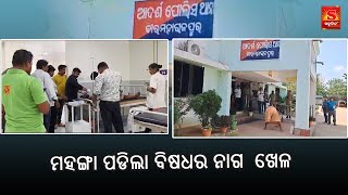 ମହଙ୍ଗା ପଡିଲା ବିଷଧର ନାଗ  ଖେଳ ||  Sabudina Tv