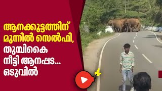 Viral Video | ആനക്കൂട്ടത്തിന് മുന്നില്‍ സെല്‍ഫി, തുമ്പികൈ നീട്ടി ആനപ്പട.. ഒടുവില്‍ | Elephant herd