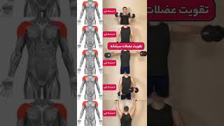 تمرینات تقویت عضلات سرشانه💪#عضله_سازی#ytshorts#فیتنس#باشگاه_بدنسازی#فیتنسکار#فیت#تقویت#سرشانه#شانه