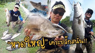 กะพงบุฟเฟ่หาดใหญ่ งานปลั๊กใหญ่เลย Mustad 3x 4x