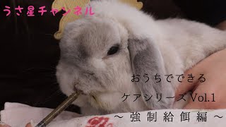 おうちでできるケアシリーズvol.2 ～強制給餌編～