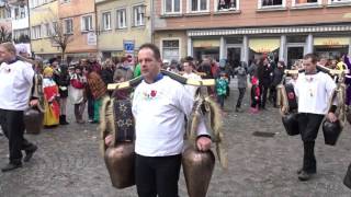 Treichler Narrenzunft Siebnen SZ  Grosses Narrentreffen Lindau D 2016