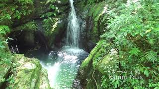 【天城町】世界自然遺産登録に向けて