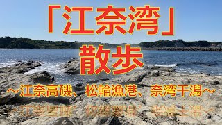 0095 江奈湾「江奈高磯」「松輪漁港」「江奈湾干潟」散歩