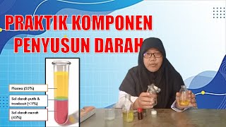 🔴Praktik Komponen Penyusun Darah 💉