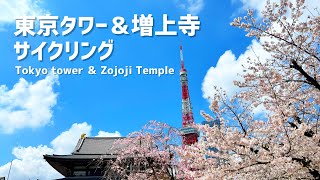 #99【穴場カフェ発見】桜満開の増上寺と東京タワーへ❗️お花見サイクリング❗️