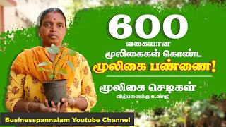 600 வகையான மூலிகை செடிகள் கொண்ட மூலிகை பண்ணை அமைத்தார் ! விற்பனையும் உண்டு.