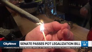 Pot legalization bill passes in the Senate