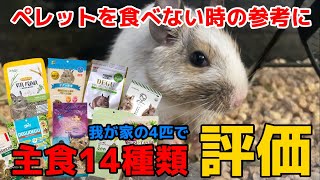 For reference when degu do not eat pellets. Evaluate 14 types of staple foods!