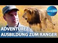 Harro beweist Löwen-Mut! Die Ausbildung zum Ranger | Galileo | ProSieben