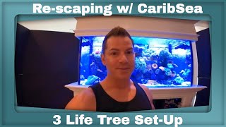 My Rescape with 3 Caribsea Life Rock Reef Tree's