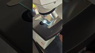 Basic stage and focus operation Leica DM500 microscope