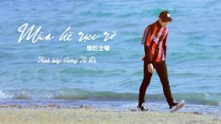 [Vietsub] Mùa hè rực rỡ 灿烂之夏 - Vương Tử Dị (Nhạc phim \