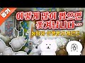 짱오락실 인형 이만큼 뽑으면 쫒겨날 수도 있습니다😨 | 인형뽑기 레전드 | 농담곰 인형 | 인형뽑기 꿀팁