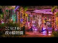 東南植物楽園 イルミネーションtvcm 15秒