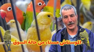 سوق بودواو في اسوء احواله | طيور الزينة تقاوم الطبيعة في اجواء الشتاء 🪶💦