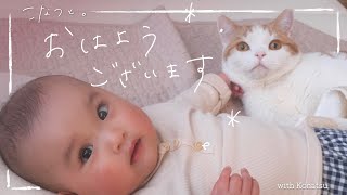 ママが大好きな猫と赤ちゃんと春の午後