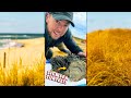 Rare Sea Turtle Rescue Mission! Part 1