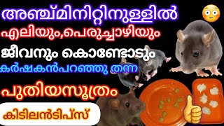 100% നാട്ടിലെ മുഴുവൻ എലികളും, നാടും, വീടും വിട്ടോടും|5 മിനിറ്റിൽ|How to get rid of rats|kitchentips