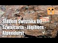 Śladem Świstaka 06 - Szwajcaria - Jägihorn (Alpendurst)