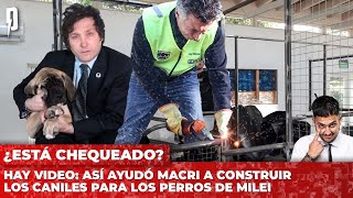 Hay video: así ayudó Macri a construir los caniles para los perros de Milei
