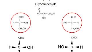 Carbohydrates 1 - monosaccharide structure