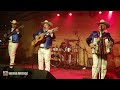 los reales del valle los sabanales en vivo