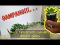 cara membuat terarium mini dalam gelas