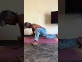 eka pada koundinyasana how to do eka pada koundinyasana advanced yoga pose