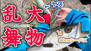 【何でそんなに釣れるの⁉︎】青物、大物、単純に羨ましい最高の漁港！釣れない我々は漁港飯！2月の糸島・野北漁港で泳がせにチャレンジする中年を見よ‼︎ #187 福岡釣部 in 福岡・糸島・佐賀・玄界