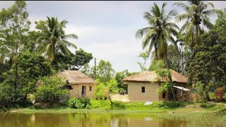 Beautiful Village in Srirampur  Village Area View | Chak Garupota