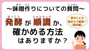 味噌手作りキット よくいただく質問【その39】発酵が順調か、確かめる方法はありますか？#味噌手作りキット　#味噌手作り体験