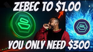 Zebec Network ZBCN Break Out To $1.00 (Watch Before Its Too Late)